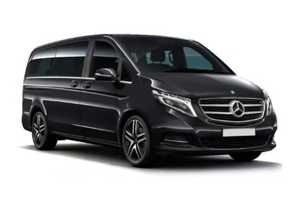 Business Van/SUV
