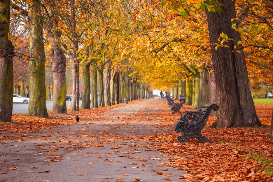 What to do in London in October