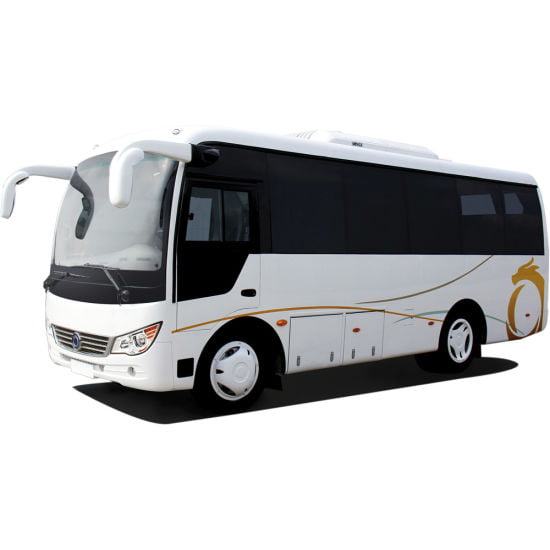 30-Seater Bus & Coach Passenger