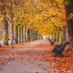 What to do in London in October? Explore Events in London with London Chauffeur Services