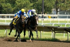 Kempton Park Racecourse