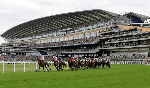 Ascot Races 