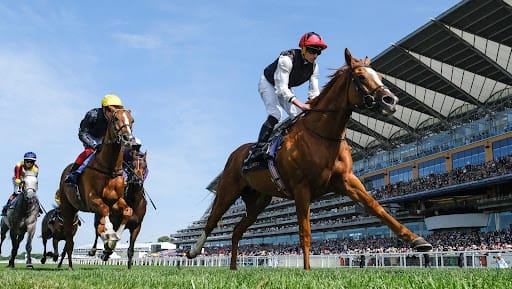 Ascot Races